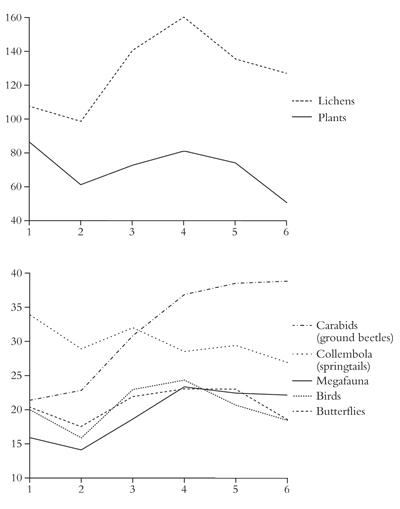 Average species richness