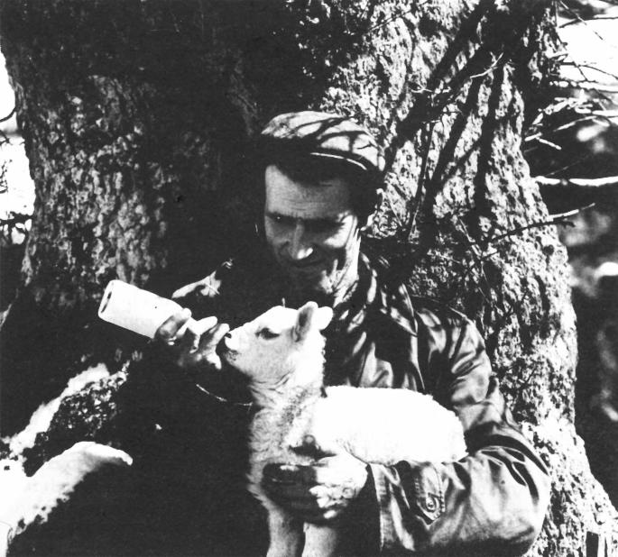 Man feeding milk to a lamb